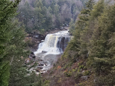 Family Courts; Current Insights