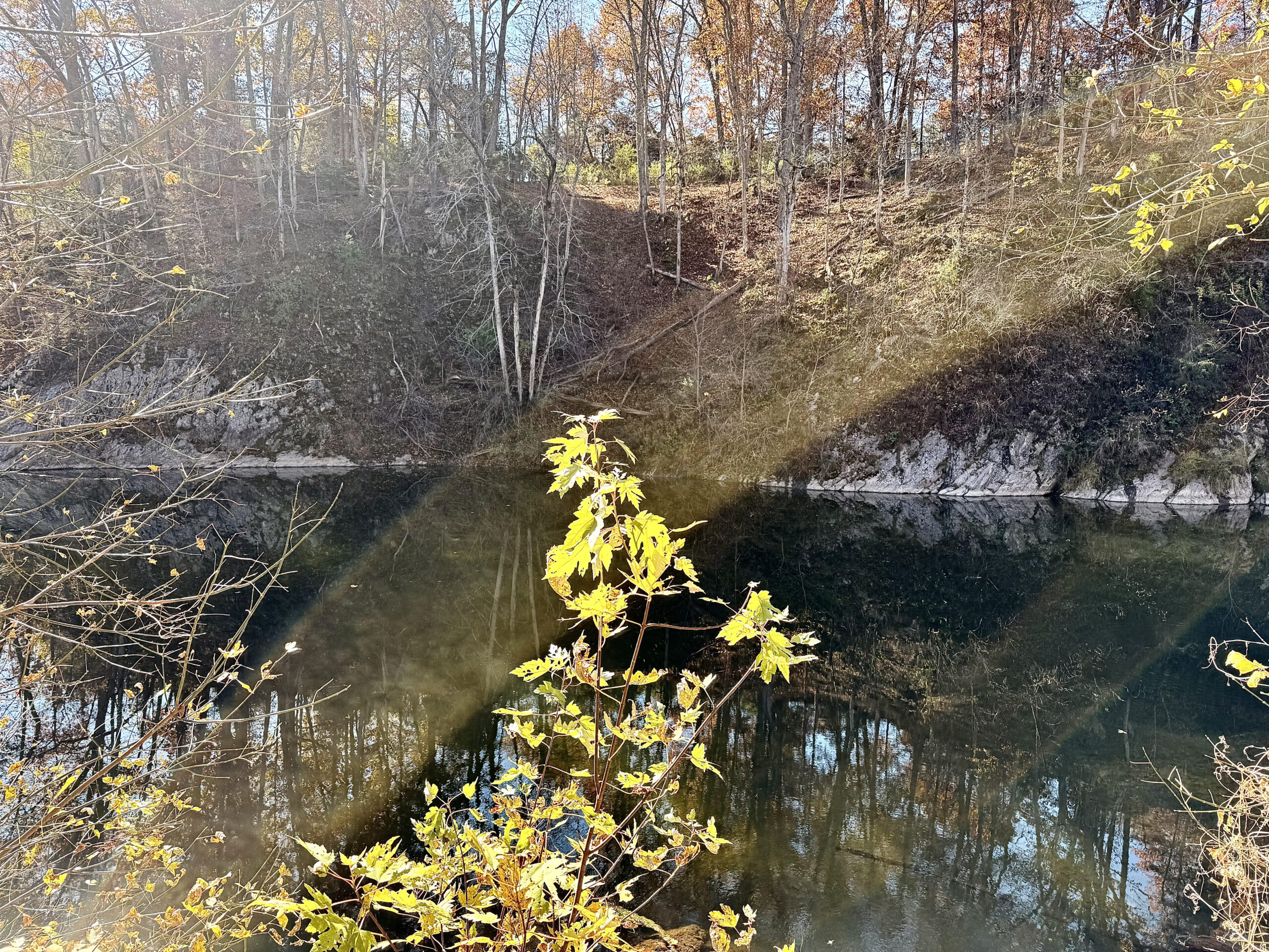 New Blog with Jennifer C. Parker, MSSW, LCSW; Resources for Leaving Abusive or Controlling Relationships